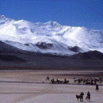 チョンムスターグ