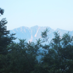 ヒュッテライフ